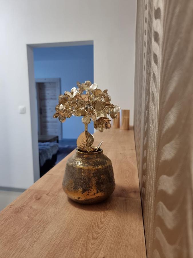 Bivio Apartment Dolna Banska Stiavnica Bagian luar foto
